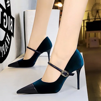 Funki Buys | Shoes | Women's Luxury Velvet Pointed Toe Stiletto Pumps