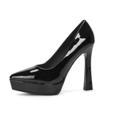 Funki Buys | Shoes | Women's Elegant Patent High Heel Pumps