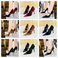 Funki Buys | Shoes | Women's Luxury Velvet Pointed Toe Stiletto Pumps