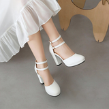 Funki Buys | Shoes | Women's Elegant Formal Mary Jane Heels | T-Strap