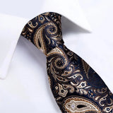 Funki Buys | Neckties | Men's 3pcs Silk Paisley Tie Set