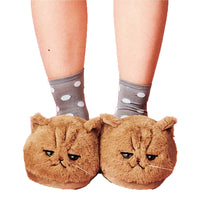 Funki Buys | Shoes | Women's Plush Kitten Slippers
