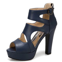 Funki Buys | Shoes | Women's Block Heeled Platform Sandals