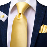 Funki Buys | Neckties | Men's Classic 3 Pcs Yellow Gold Tie Set
