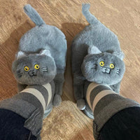 Funki Buys | Shoes | Women's Soft Cat Hug Slippers