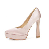 Funki Buys | Shoes | Women's Elegant Satin High Heel Pumps