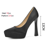 Funki Buys | Shoes | Women's Elegant Satin High Heel Pumps
