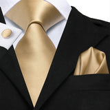 Funki Buys | Neckties | Men's Formal 3pcs Gold Tie Set