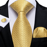 Funki Buys | Neckties | Men's Classic 3 Pcs Yellow Paisley Tie Set