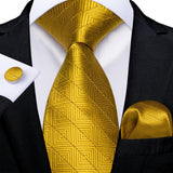 Funki Buys | Neckties | Men's Classic 3 Pcs Yellow Paisley Tie Set
