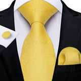 Funki Buys | Neckties | Men's Classic 3 Pcs Yellow Paisley Tie Set