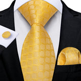 Funki Buys | Neckties | Men's Classic 3 Pcs Yellow Paisley Tie Set