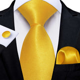 Funki Buys | Neckties | Men's Classic 3 Pcs Yellow Paisley Tie Set