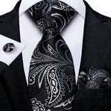 Funki Buys | Neckties | Men's Luxury 3 Pcs Jacquard Tie Set