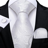 Funki Buys | Neckties | Men's Formal 3pcs White Silver Gray Tie Set