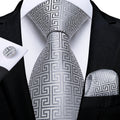Funki Buys | Neckties | Men's Formal 3pcs White Silver Gray Tie Set