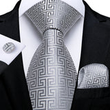 Funki Buys | Neckties | Men's Formal 3pcs White Silver Gray Tie Set