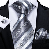 Funki Buys | Neckties | Men's Formal 3pcs White Silver Gray Tie Set