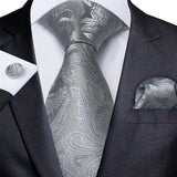 Funki Buys | Neckties | Men's Formal 3pcs White Silver Gray Tie Set