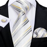 Funki Buys | Neckties | Men's Formal 3pcs White Silver Gray Tie Set