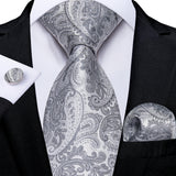 Funki Buys | Neckties | Men's Formal 3pcs White Silver Gray Tie Set