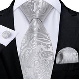 Funki Buys | Neckties | Men's Formal 3pcs White Silver Gray Tie Set