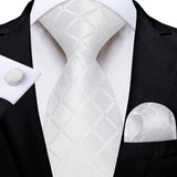Funki Buys | Neckties | Men's Formal 3pcs White Silver Gray Tie Set