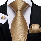 Funki Buys | Neckties | Men's Classic 3pcs Gold Tie Set