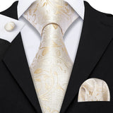Funki Buys | Neckties | Men's Classic 3pcs Gold Tie Set