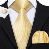 Funki Buys | Neckties | Men's Classic 3pcs Gold Tie Set