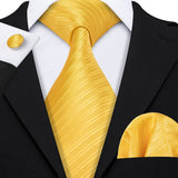 Funki Buys | Neckties | Men's Classic 3pcs Gold Tie Set