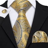 Funki Buys | Neckties | Men's Classic 3pcs Gold Tie Set