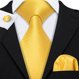 Funki Buys | Neckties | Men's Classic 3pcs Gold Tie Set