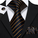 Funki Buys | Neckties | Men's Classic 3pcs Gold Tie Set