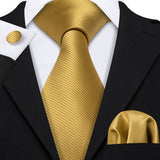 Funki Buys | Neckties | Men's Classic 3pcs Gold Tie Set