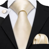 Funki Buys | Neckties | Men's Classic 3pcs Gold Tie Set