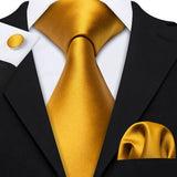 Funki Buys | Neckties | Men's Classic 3pcs Gold Tie Set