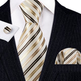 Funki Buys | Neckties | Men's Classic 3pcs Gold Tie Set