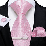 Funki Buys | Neckties | Men's Formal 3pcs Pink Tie Set