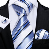 Funki Buys | Neckties | Men's Formal 3pcs Silk Blue Tie Set