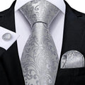 Funki Buys | Neckties | Men's 3pcs Silk Silver Floral Tie Set