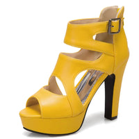 Funki Buys | Shoes | Women's Block Heeled Platform Sandals