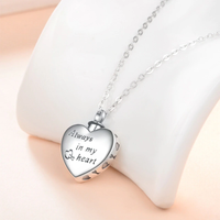 Funki Buys | Cremation Urn Necklaces | Pet Paw Love Heart Pendant