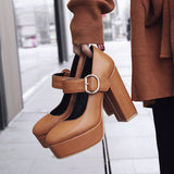 Funki Buys | Shoes | Women's Mary Jane Platform High Heel Shoes | Buckle Strap