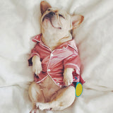 Funki Buys | Dog Pajamas | Silky Dog Pajamas | Fashion Pajamas for Dogs