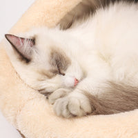 Funki Buys | Pet Beds | Cat Bed | Cat Cave Bed | Warm Winter Kitty House