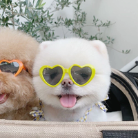 Funki Buys | Pet Sunglasses | Cute Heart Shaped Cat Dog Sunglasses