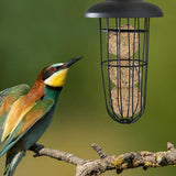 Funki Buys | Bird Feeders | Hanging Bird Feeder | Metal Seed Dispenser