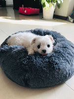 Funki Buys | Pet Beds | Dog Cat Pet Bed | Round Winter Warm Donut Bed