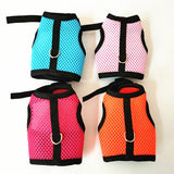 Funki Buys | Pet Harnesses | Rabbit Harness Vest and Leash | Small Pets